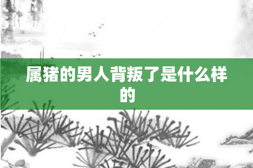 属猪的男人背叛了是什么样的