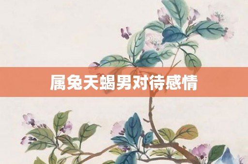 属兔天蝎男对待感情