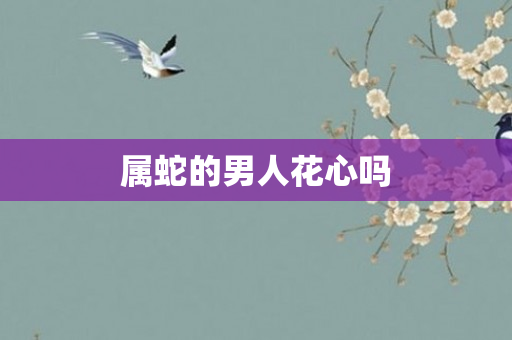属蛇的男人花心吗