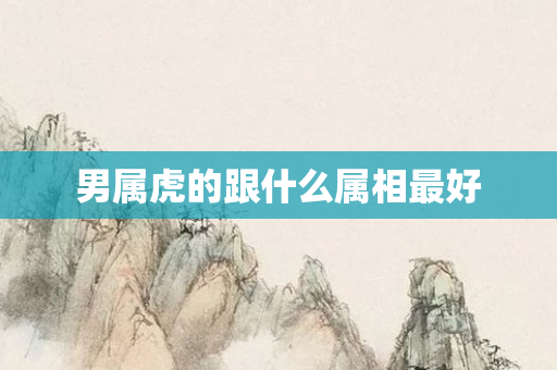 男属虎的跟什么属相更好