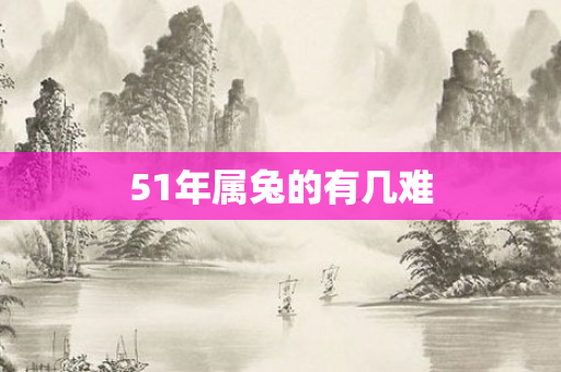 51年属兔的有几难