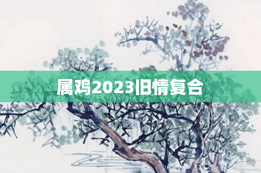 属鸡2023旧情复合