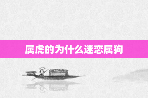 属虎的为什么迷恋属狗