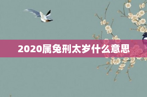 2020属兔刑太岁什么意思
