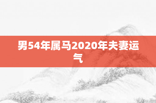 男54年属马2020年夫妻运气