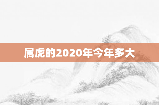 属虎的2020年今年多大