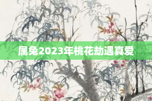 属兔2023年桃花劫遇真爱