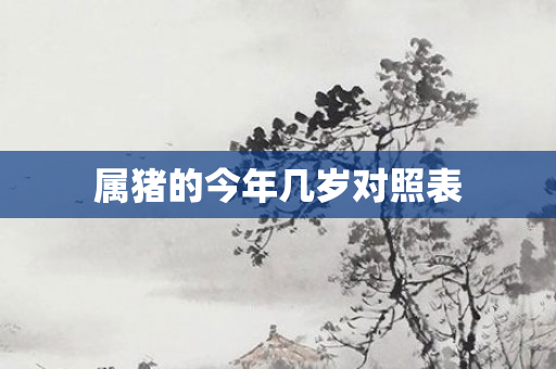属猪的今年几岁对照表