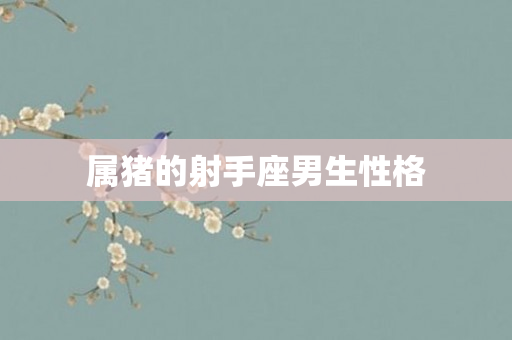属猪的射手座男生性格