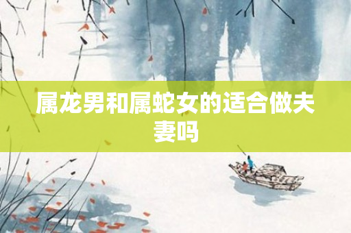 属龙男和属蛇女的适合做夫妻吗