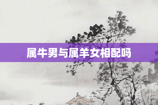 属牛男与属羊女相配吗