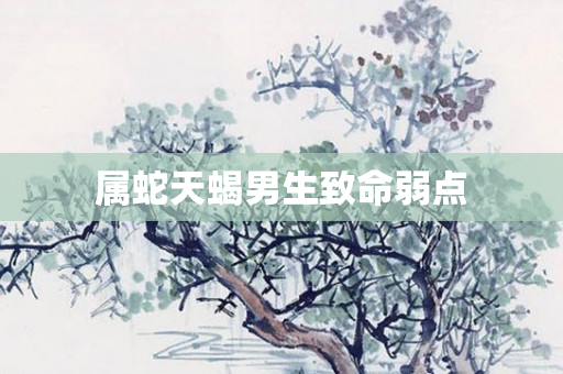 属蛇天蝎男生致命弱点