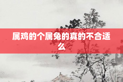属鸡的个属兔的真的不合适么