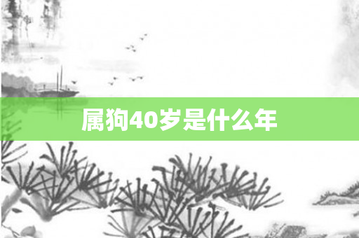 属狗40岁是什么年