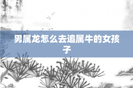 男属龙怎么去追属牛的女孩子