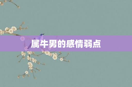 属牛男的感情弱点
