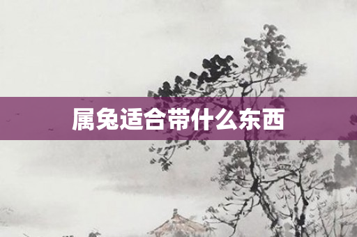 属兔适合带什么东西