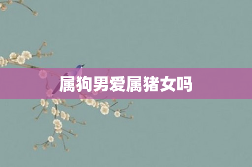 属狗男爱属猪女吗