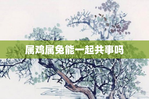 属鸡属兔能一起共事吗