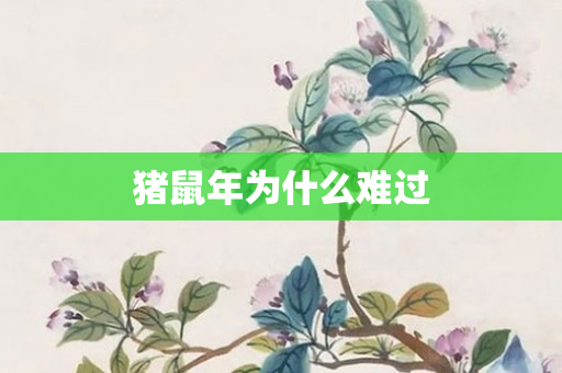 猪鼠年为什么难过
