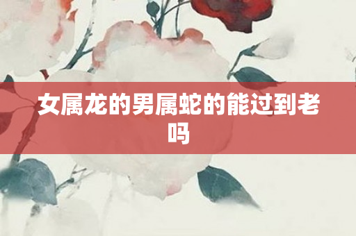 女属龙的男属蛇的能过到老吗