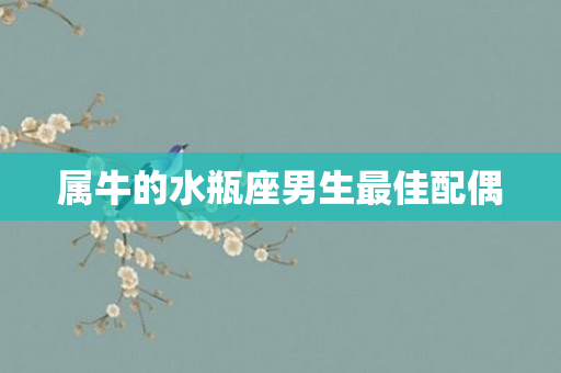 属牛的水瓶座男生更佳配偶