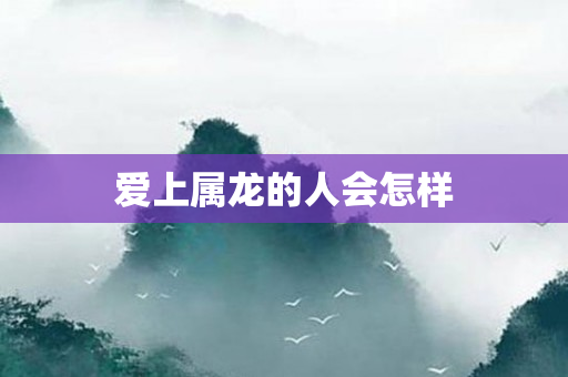 爱上属龙的人会怎样
