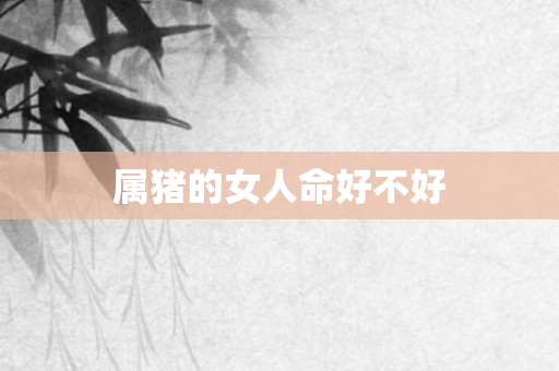 属猪的女人命好不好