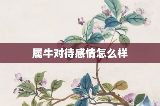 属牛对待感情怎么样