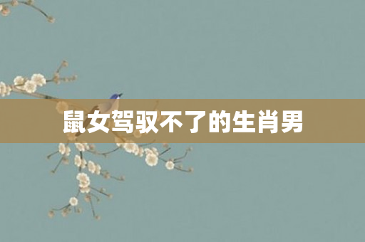 鼠女驾驭不了的生肖男