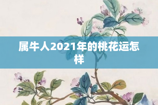 属牛人2021年的桃花运怎样
