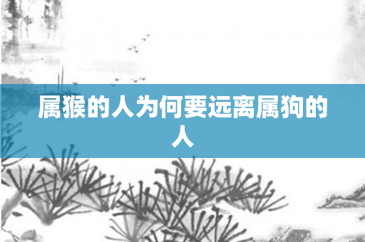 属猴的人为何要远离属狗的人