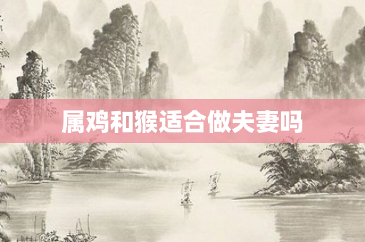 属鸡和猴适合做夫妻吗
