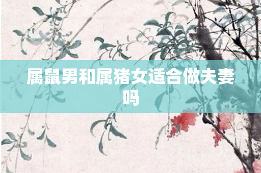 属鼠男和属猪女适合做夫妻吗