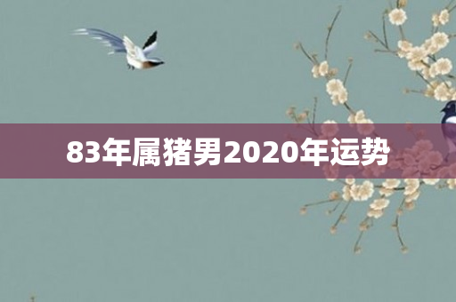 83年属猪男2020年运势