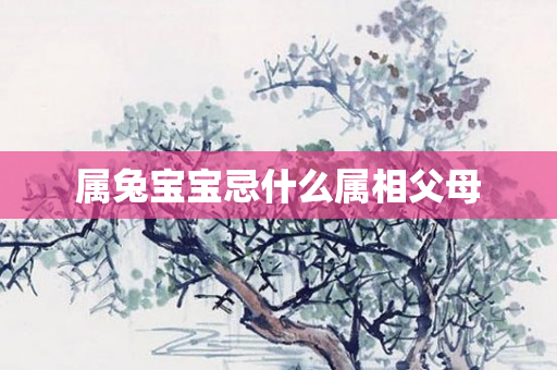 属兔宝宝忌什么属相父母