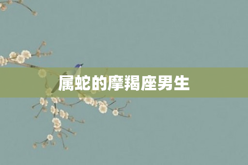 属蛇的摩羯座男生