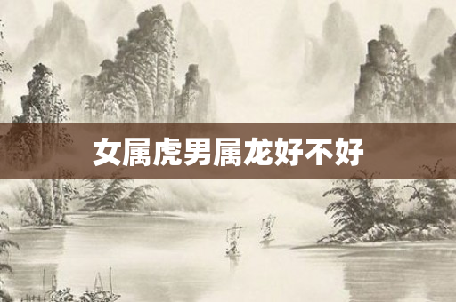 女属虎男属龙好不好