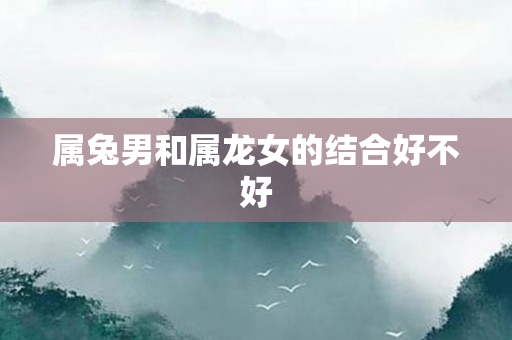 属兔男和属龙女的结合好不好
