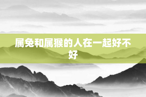 属兔和属猴的人在一起好不好