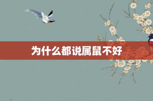 为什么都说属鼠不好