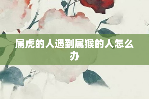 属虎的人遇到属猴的人怎么办