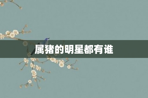 属猪的明星都有谁