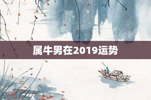 属牛男在2019运势