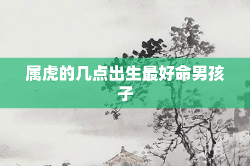 属虎的几点出生更好命男孩子