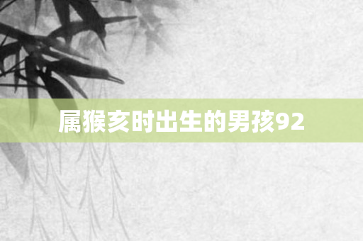 属猴亥时出生的男孩92