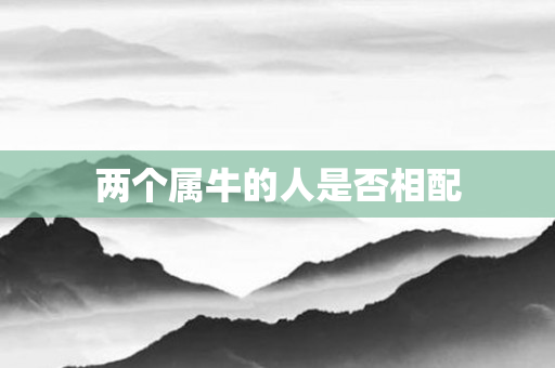 两个属牛的人是否相配