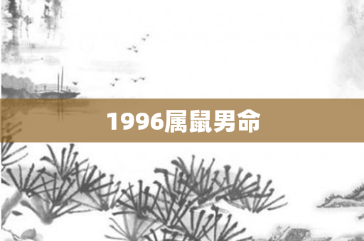 1996属鼠男命