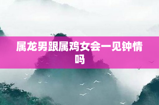 属龙男跟属鸡女会一见钟情吗