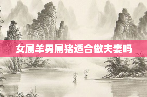 女属羊男属猪适合做夫妻吗